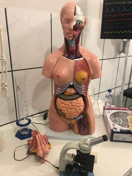 curso-tecnico-em-enfermagem-IESGE-